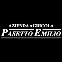 Pasetto Emilio
