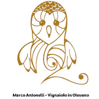 Marco Antonelli