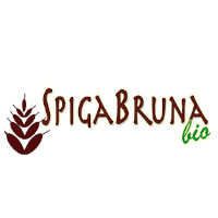Spigabruna bio