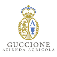 Guccione
