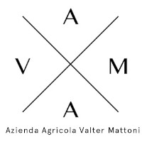 Valter Mattoni