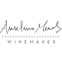 Anselmo Mendes