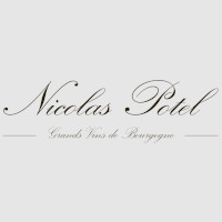 Nicolas Potel