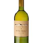 Vino in offerta