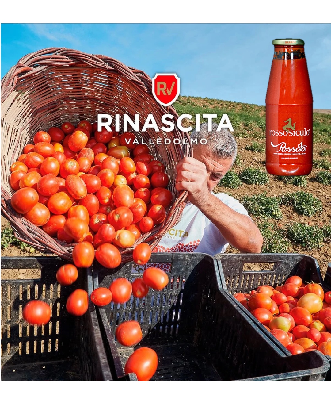 Siccagno-tomaatti, aarre joka syntyy välttämättömyydestä